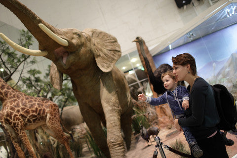 3 Family Activities for All Ages